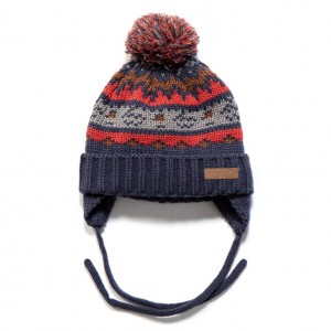 Зимняя детская шапка для мальчика Nano F17 TU 267 Crown Blue